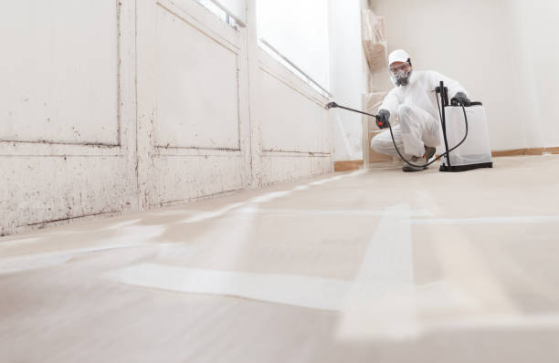 24/7 Emergency Mold Removal experts in Rockville, MD